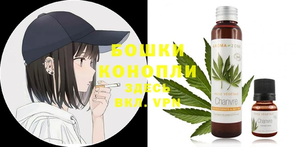 эйфоретик Баксан