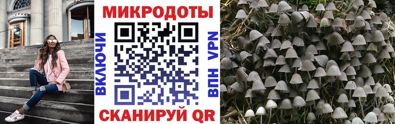 Псилоцибиновые грибы MAGIC MUSHROOMS Нижний Тагил